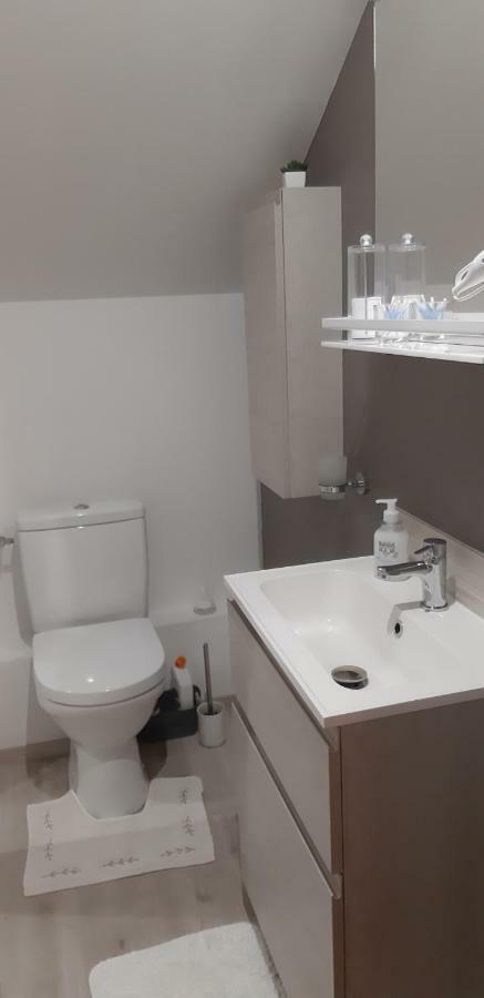 Nuit Champenoise Tout Confort Louze Extérieur photo